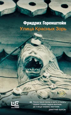 Фридрих Горенштейн Улица Красных Зорь (сборник) обложка книги