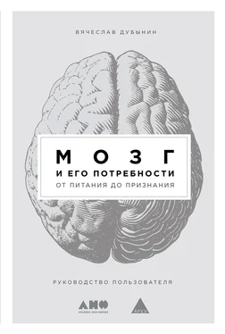 Вячеслав Дубынин Мозг и его потребности [От питания до признания] [litres] обложка книги