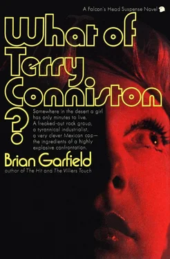 Брайан Гарфилд What of Terry Conniston? обложка книги