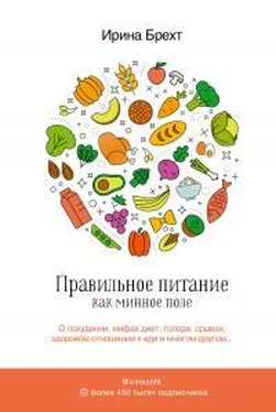 Ирина Брехт Правильное питание как минное поле обложка книги