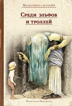 Народные сказки Среди эльфов и троллей обложка книги