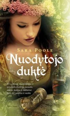 Sara Poole Nuodytojo duktė обложка книги