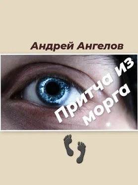 Андрей Ангелов Притча из морга обложка книги