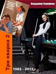 Владимир Тимофеев - Три кварка 2 (1982-2012). Правила отбора