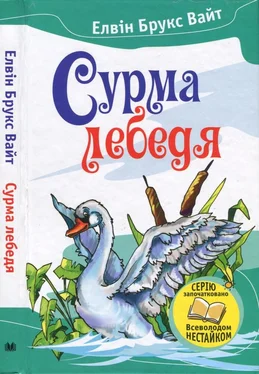 Элвин Уайт Сурма лебедя