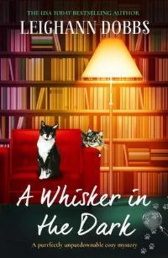 Лейганн Доббс A Whisker In The Dark обложка книги