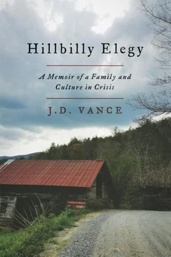 Джей Вэнс Hillbilly Elegy: A Memoir of a Family and Culture in Crisis обложка книги