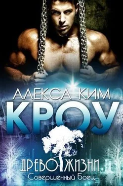 Алекса Ким Кроу обложка книги