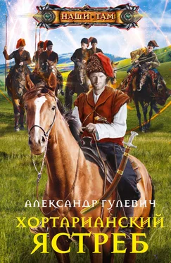 Александр Гулевич Хортарианский ястреб обложка книги
