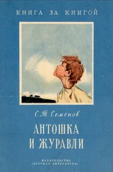 Сергей Семенов - Антошка и журавли [сборник]