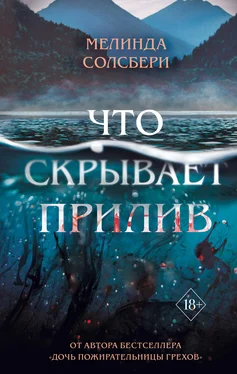 Мелинда Солсбери Что скрывает прилив [litres] обложка книги