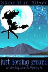 Саманта Сильвер - Just Horsing Around