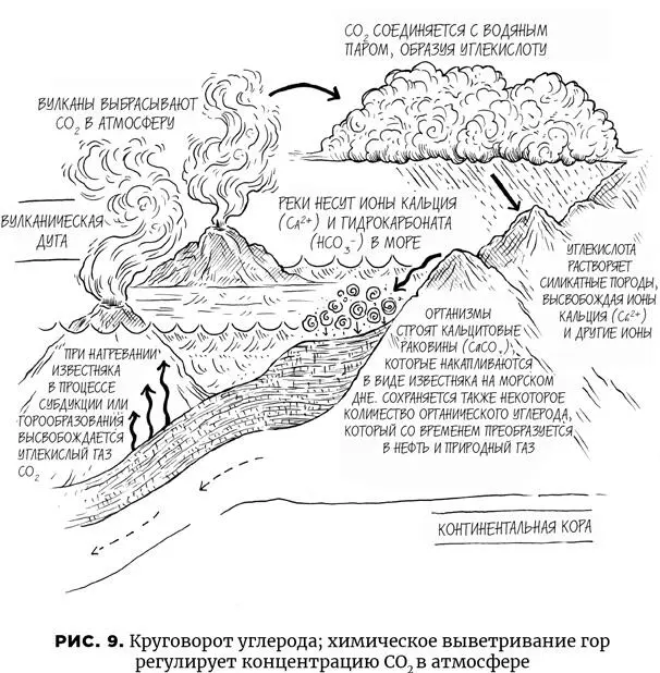 В отсутствие человеческой деятельности главным источником CO 2являются - фото 13