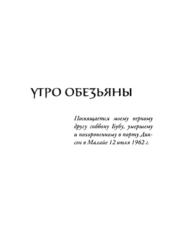 Утро Обезьяны Посвящается моему верному другу гиббону Бубу умершему и - фото 3