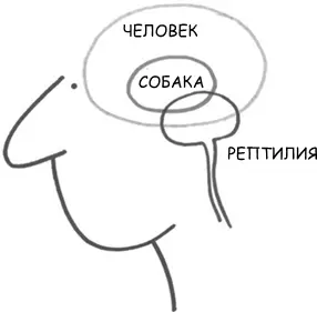 Господи помилуй только не это Последний отчет который ты написал был - фото 7