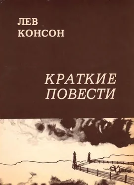 Лев Консон Краткие повести обложка книги