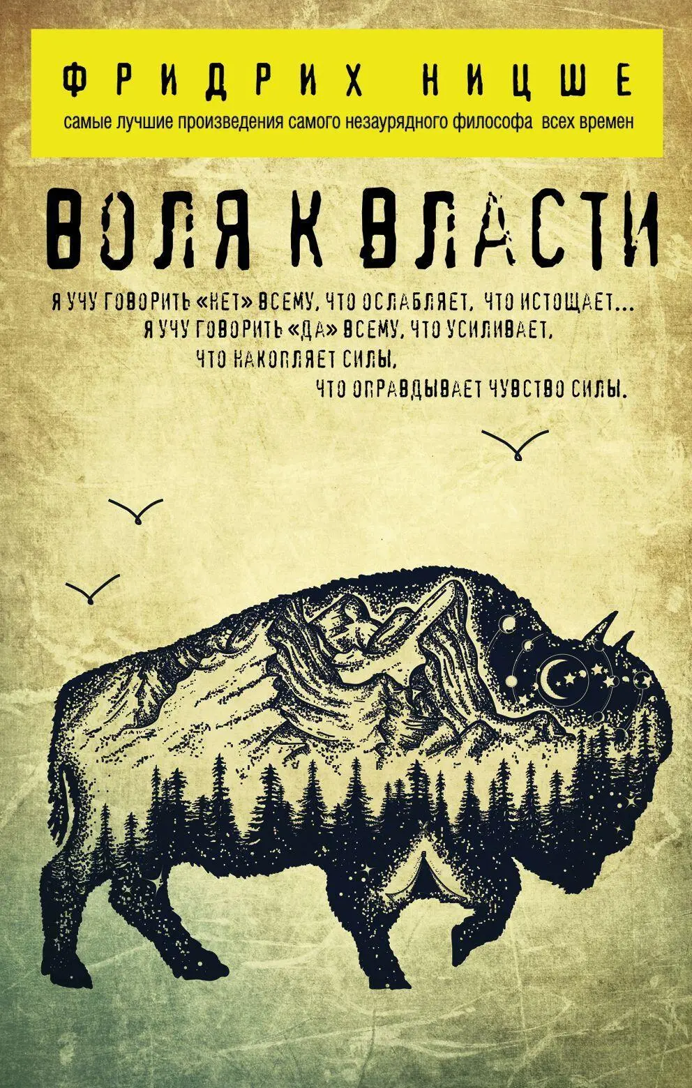 Фридрих Ницше: Воля к власти читать онлайн бесплатно