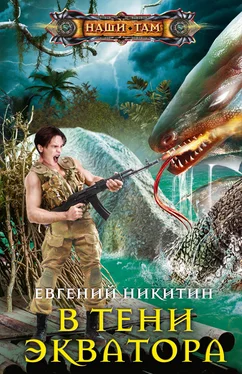 Евгений Никитин В тени экватора [litres] обложка книги