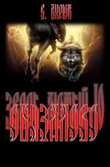 В Бирюк - Обязалово [СИ]