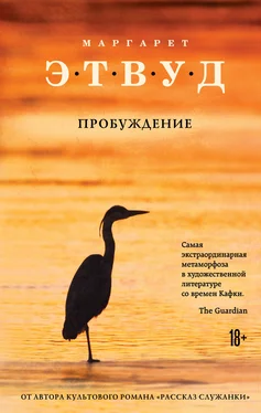 Маргарет Этвуд Пробуждение [litres] обложка книги