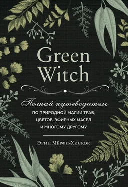 Эрин Мёрфи-Хискок Green Witch. Полный путеводитель по природной магии трав, цветов, эфирных масел и многому другому обложка книги