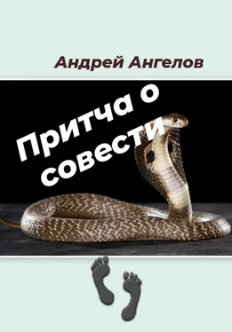 Андрей Ангелов Притча о совести обложка книги