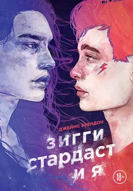 Джеймс Брендон Зигги Стардаст и я обложка книги