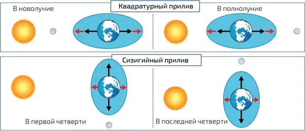 6 Во время полнолуния и новолуния силы Луны и Солнца накладываются друг на - фото 67