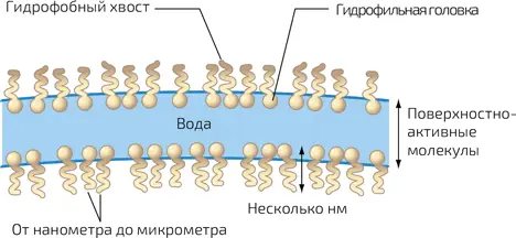 5 Схема мыльной пленки Молекулы поверхностноактивного вещества уменьшают - фото 79