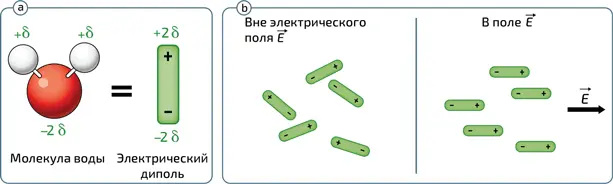 5a Cхематическое представление молекулы воды H 2 O Будучи в целом - фото 223