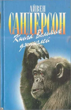 Айвен Сандерсон Книга Великих джунглей обложка книги