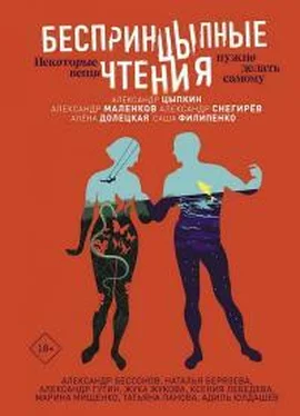 Александр Снегирев БеспринцЫпные чтения. Некоторые вещи нужно делать самому обложка книги