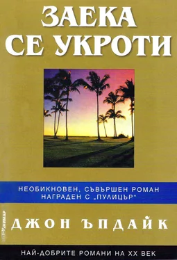 Джон Апдайк Заека се укроти обложка книги