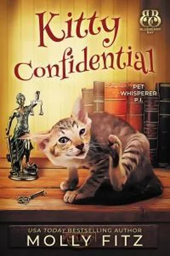 Молли Фитц Kitty Confidential обложка книги