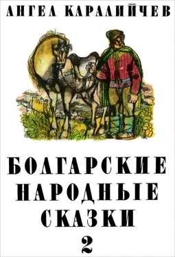 Ангел Каралийчев Болгарские народные сказки. Том 2 обложка книги