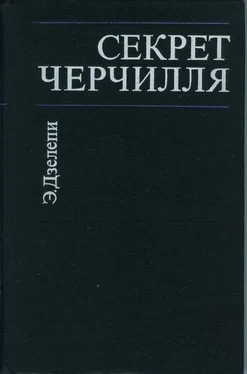 Элетер Дзелепи Секрет Черчилля обложка книги