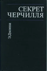 Элетер Дзелепи - Секрет Черчилля