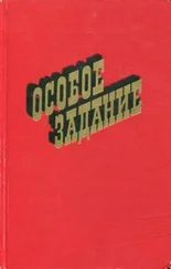 Дмитрий Смирнов - Особое задание