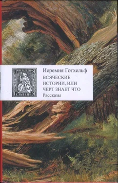 Иеремия Готтхельф Всяческие истории, или черт знает что обложка книги