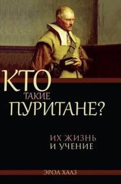 Эрол Халз Кто такие пуритане обложка книги