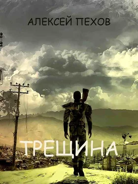 Алексей Пехов Трещина [повесть] обложка книги