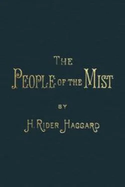 Генри Хаггард The People of the Mist обложка книги