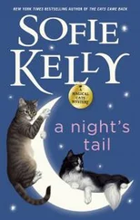 Софи Келли - A Night's Tail