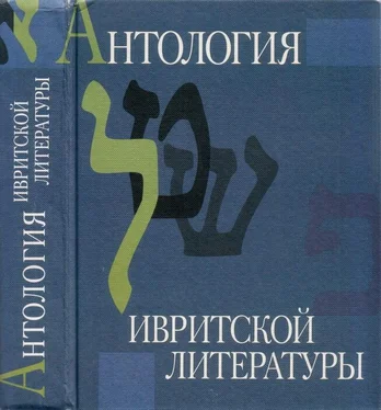 Этгар Керет Антология ивритской литературы. Еврейская литература XIX-XX веков в русских переводах обложка книги