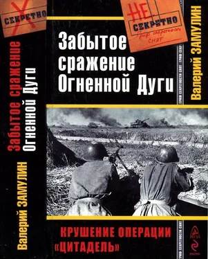 Валерий Замулин Забытое сражение Огненной Дуги обложка книги