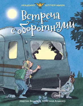 Мартин Видмарк Встреча с оборотнями [litres] обложка книги