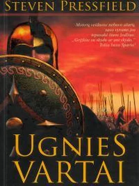 Стивен Прессфилд Ugnies vartai обложка книги