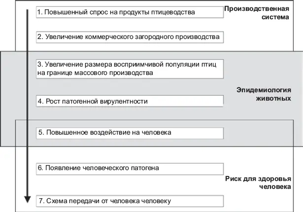 Рис 2Эволюция пандемии приводится с разрешения Продовольственной и - фото 8
