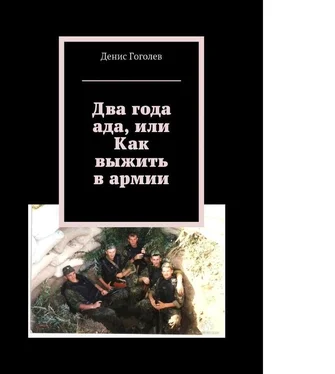 Денис Гоголев Два года ада, или Как выжить в армии обложка книги