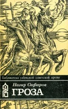 Назир Сафаров Гроза обложка книги